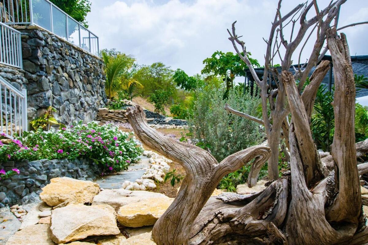 Villa Onyx-- A Gem At Dee'S Pearl à Carriacou Extérieur photo