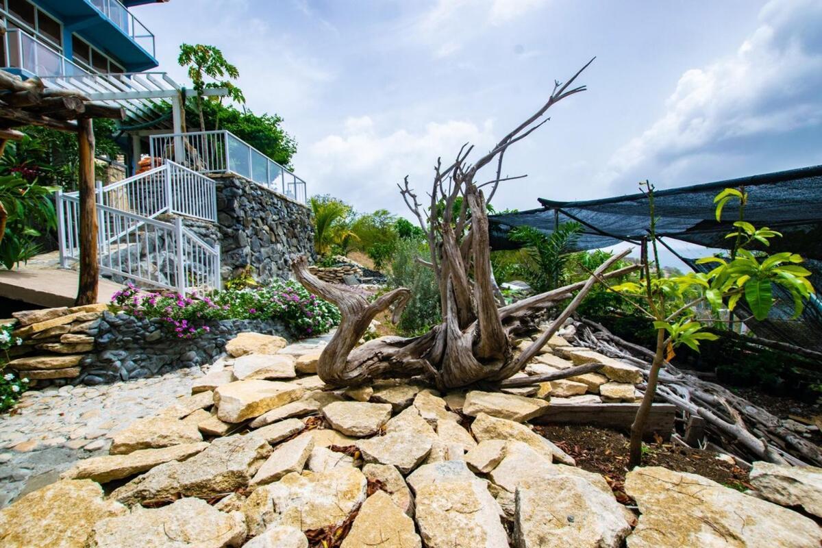 Villa Onyx-- A Gem At Dee'S Pearl à Carriacou Extérieur photo